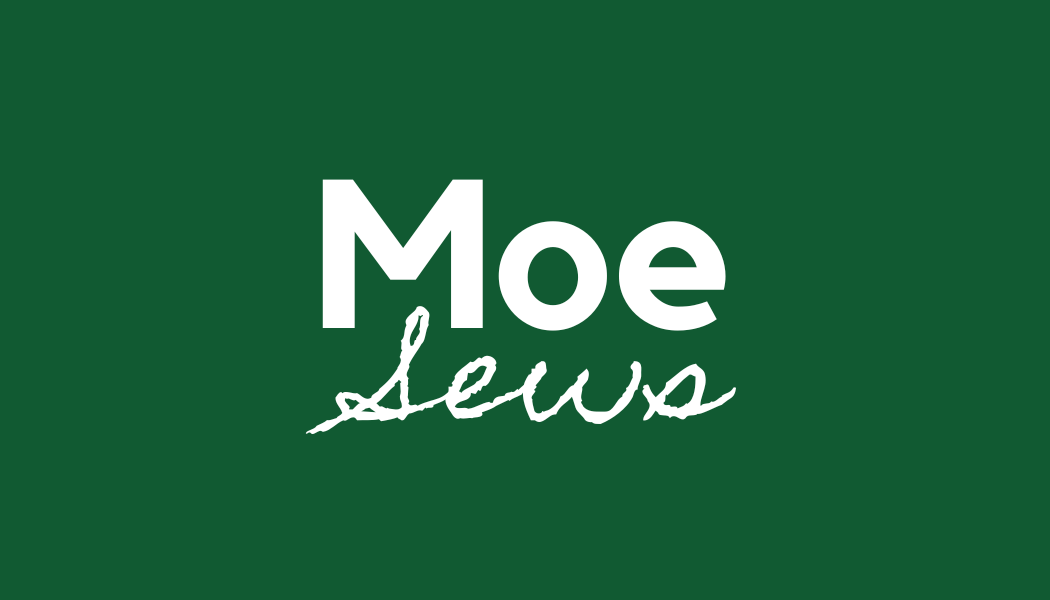 Moe Sews Embroidery